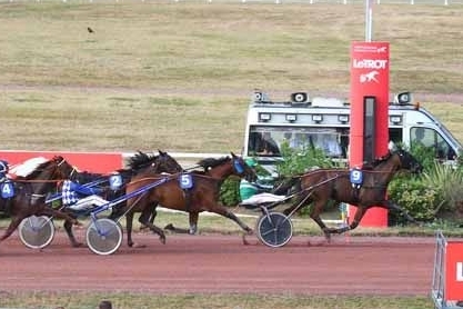 ELMAGNIFICO DE LOU (Prodigious-Prima donna de Lou)..