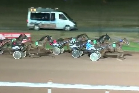 HENRIQUE DE LOU (Real de Lou - Star de tembia)..