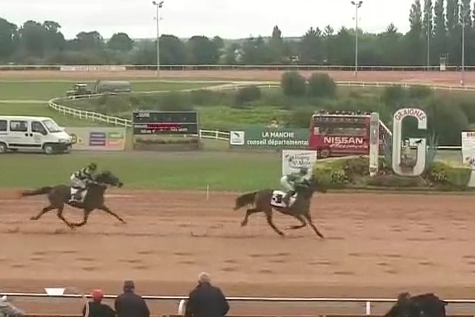 INTUITION DE LOU( Real de Lou- Bellissima de Lou)