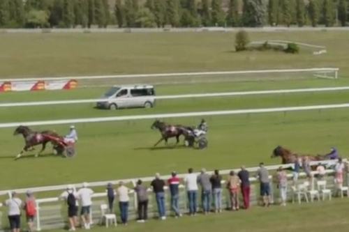 JOKO DE LOU (Real de Lou-Carla de Lou)...