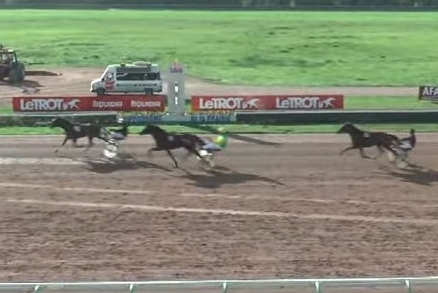 KATARINA DE LOU ( Goetmals wood-Selecao de Lou)..