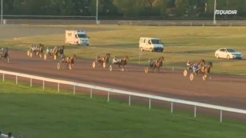 GIRLY D’HUON (Real de Lou-Udiana de Lou)