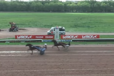 KOZIELLO DE LOU ( Real de Lou - Delmonica de Lou) ...