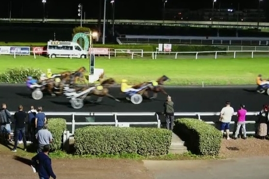 JUVENTINA DE LOU (Love You-Venezia de Lou)