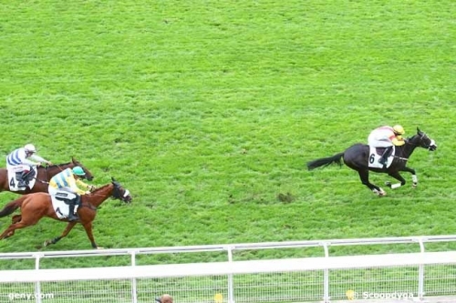 LOU FAST ( Rajsaman-Lou Wonderful)..