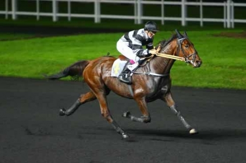 CARIOCA DE LOU (Jag de bellouet-Lola de Lou)...