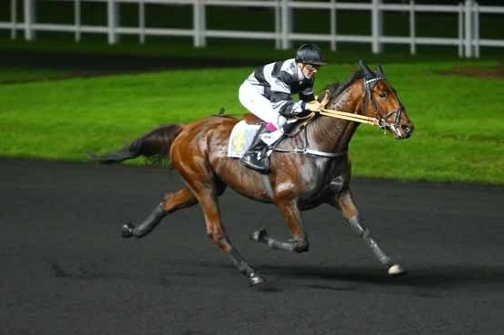 CARIOCA DE LOU (Jag de bellouet-Lola de Lou)...