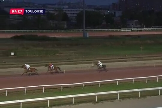 GIORGIO DE LOU (Real de Lou-Venezia de Lou)...