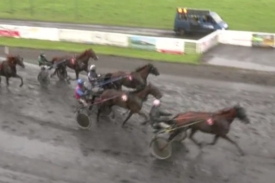 IBRA DE LOU ( Un amour d'haufor-Venezia de Lou)..