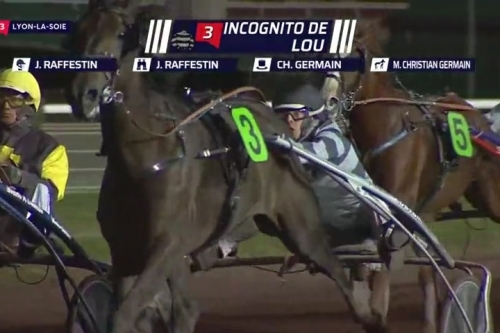 INCOGNITO DE LOU (Un amour d'haufor-Sierra de Lou)