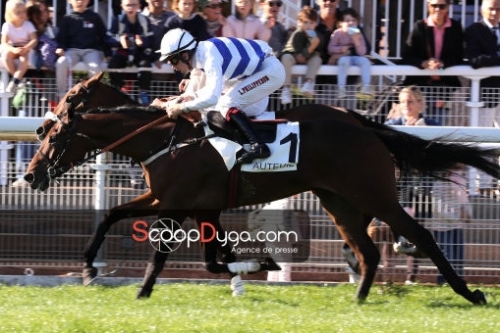 LOU FAST (Rajsaman - Lou wonderful)...