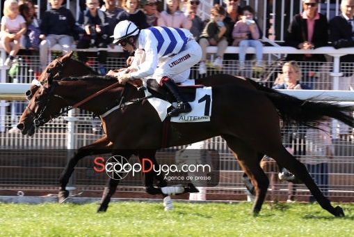 LOU FAST (Rajsaman - Lou wonderful)...