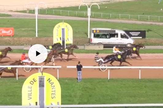 JOKO DE LOU (Real de Lou- Carla de Lou)