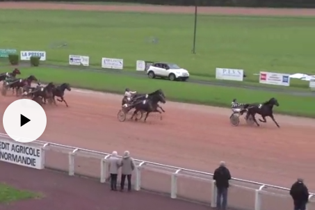 JUST GIGOLO DE LOU (Un amour d'haufor-Sierra de Lou)...