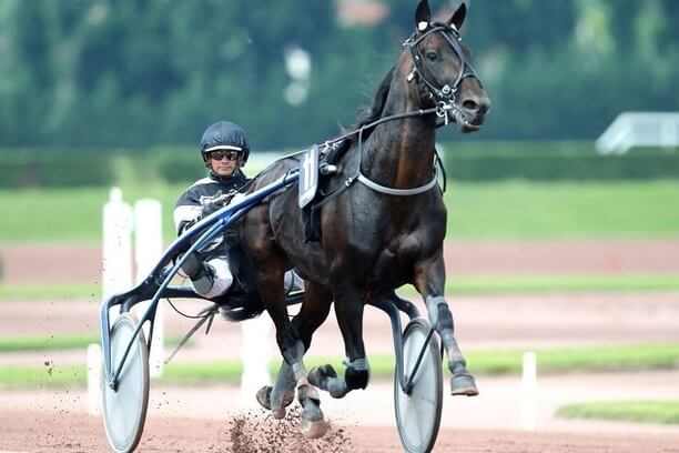 REAL DE LOU ( Jag de bellouet-Kooka de Lou)...