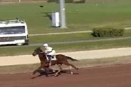 GIORGIO DE LOU (Real de Lou-Venezia de Lou)...