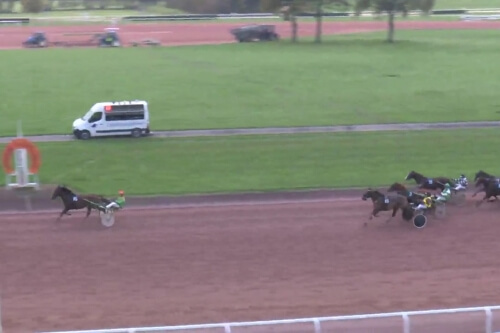 FILHIO DE LOU (Prodigious - Lola de Lou)...