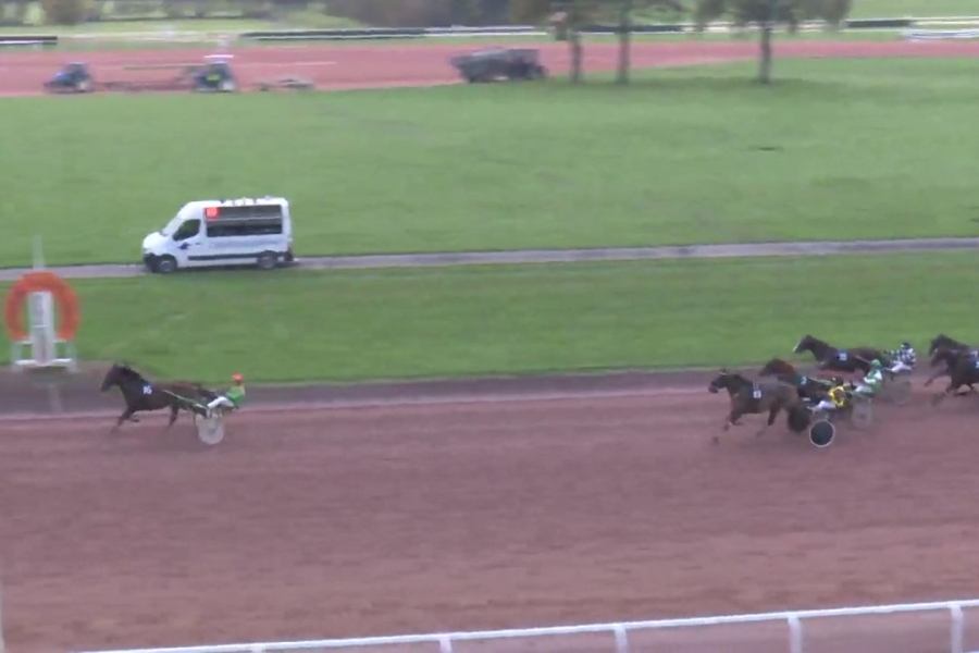 FILHIO DE LOU (Prodigious - Lola de Lou)...