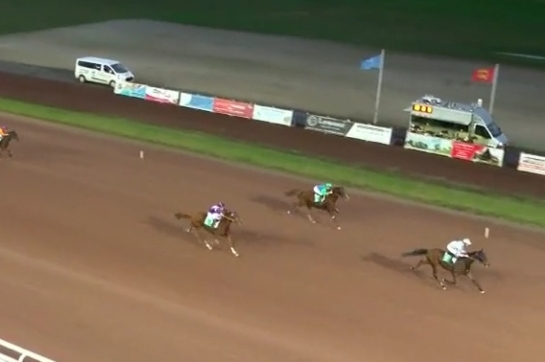 ILLICO DE LOU ( Real de lou-Buenavista de lou)...