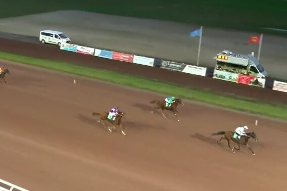 ILLICO DE LOU ( Real de lou-Buenavista de lou)...