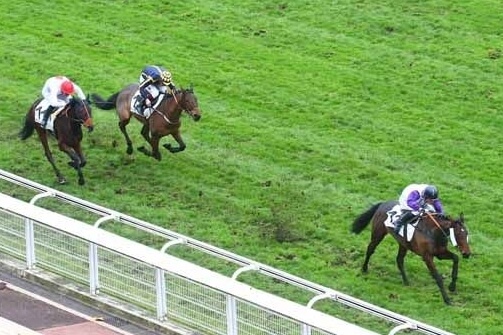 LOU FAST (Rajsaman-Lou wonderful) ...