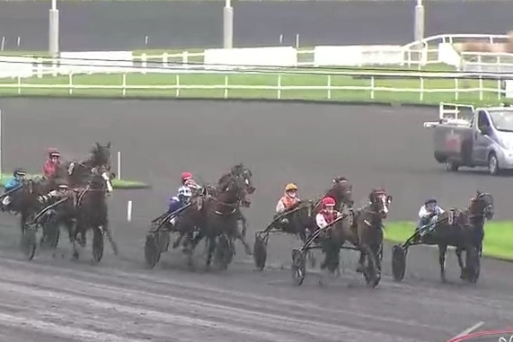 FILHIO DE LOU (Prodigious-Lola de Lou)...