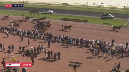 CLASSICO DE LOU (Niky-Harmony de lou)