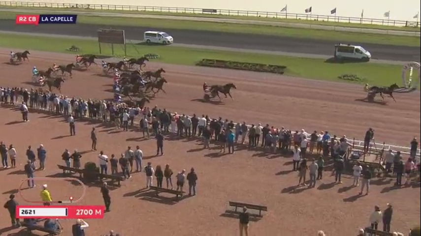 CLASSICO DE LOU (Niky-Harmony de lou)