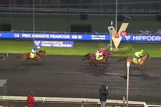 CARIOCA DE LOU (Jag de Bellouet-Lola de Lou)...