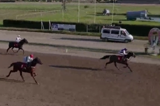 GIORGIO DE LOU (Real de Lou-Venezia de Lou)...