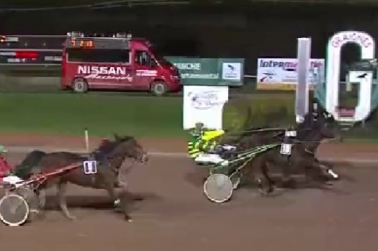 REAL DE LOU ( Jag de bellouet-Kooka de Lou)...