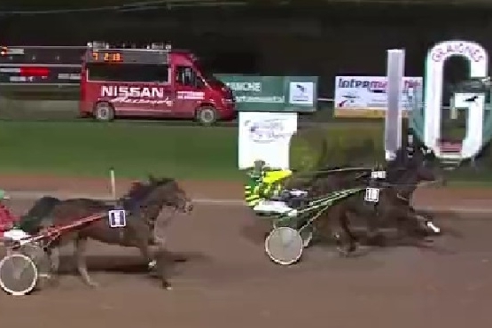 REAL DE LOU ( Jag de bellouet-Kooka de Lou)...