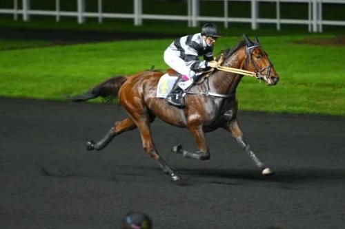 CARIOCA DE LOU (Jag de Bellouet-Lola de Lou)...