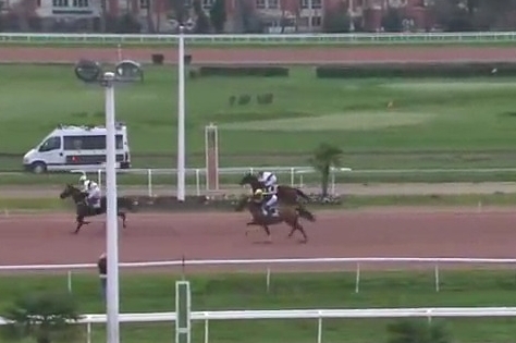 GIORGIO DE LOU (Real de Lou-Venezia de Lou)...