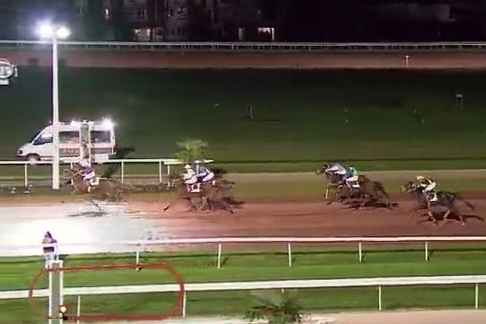 GIORGIO DE LOU (Real de Lou-Venezia de Lou)...