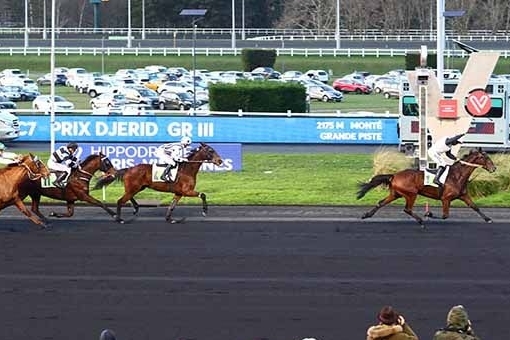 CARIOCA DE LOU (Jag de Bellouet-Lola de Lou)...