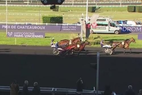 FILHIO DE LOU (Prodigious-Lola de Lou)...