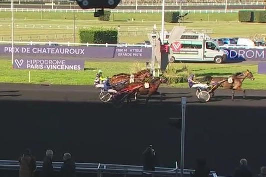 FILHIO DE LOU (Prodigious-Lola de Lou)...