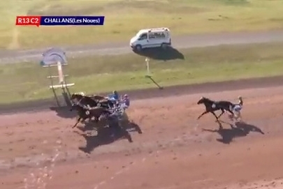 JULIANO DE LOU (Titan d'occagnes-Amarena de Lou)...