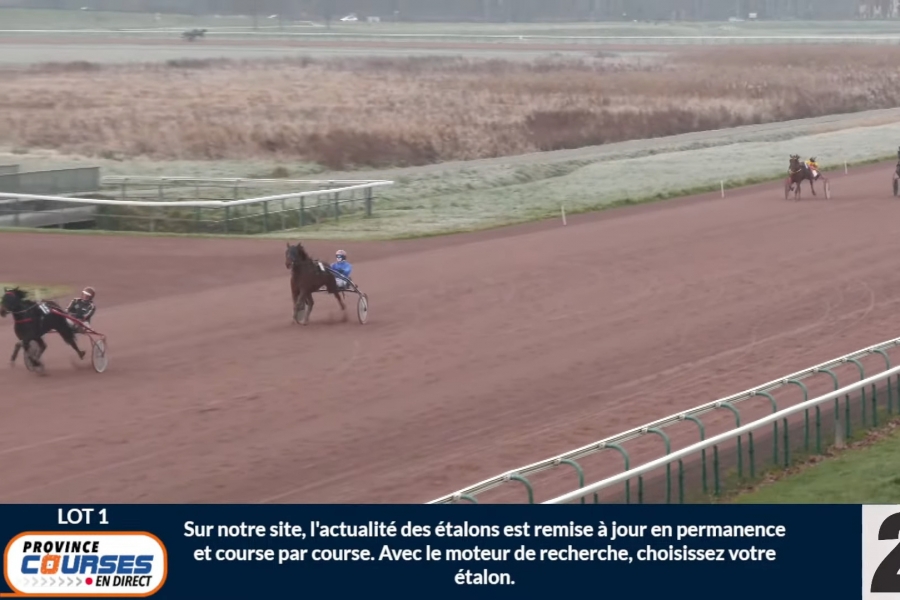 KELANI (Love you- Senora de Lou)...