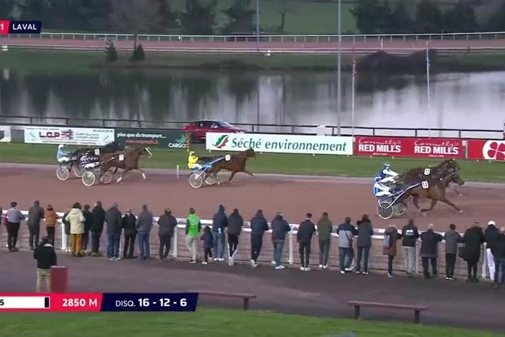 FILHIO DE LOU (Prodigious-Lola de Lou)...