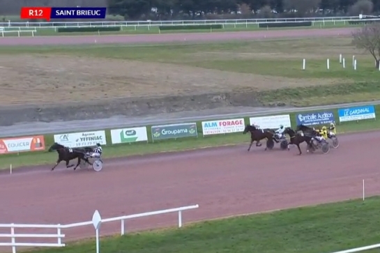 JAMAICA DE LOU (Real de Lou- Unora de Lou)