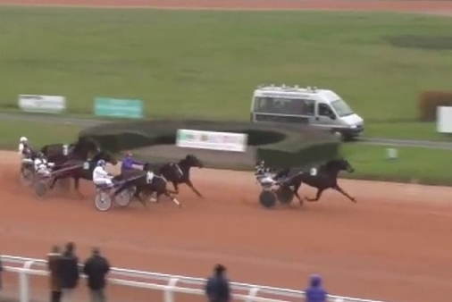 KERU DE LOU ( Real de Lou- Bellissima de Lou)...