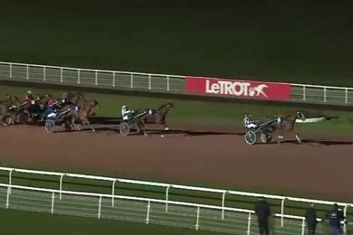 .FILHIO DE LOU (Prodigious-Lola de Lou)..