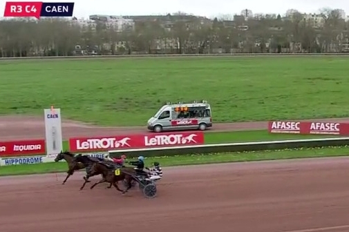 JUNON DE LOU (Real de Lou-Saba du vivier)...