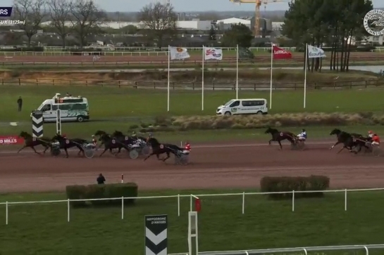 JAMAICA DE LOU (Real de Lou-Unora de Lou)