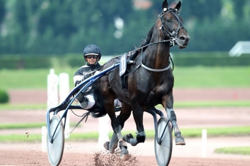 REAL DE LOU (Jag de bellouet-Kooka de Lou)...