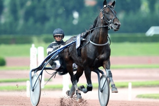 REAL DE LOU (Jag de bellouet-Kooka de Lou)...