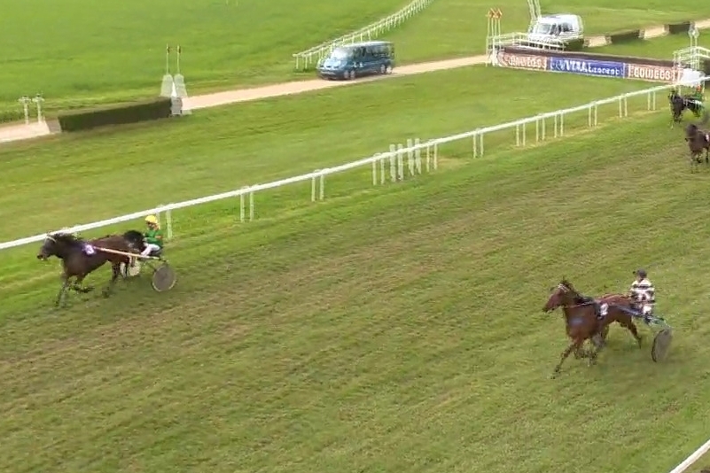 JULIANO DE LOU (Titan d'occagnes-Amarena de lou)...