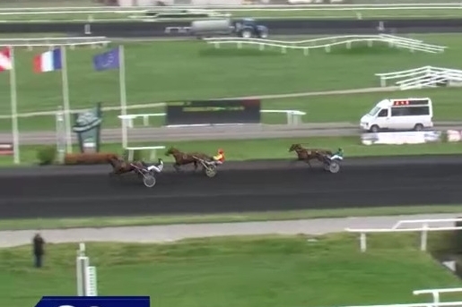 IBRA DE LOU (Un Amour d'haufor-Venezia de Lou)..